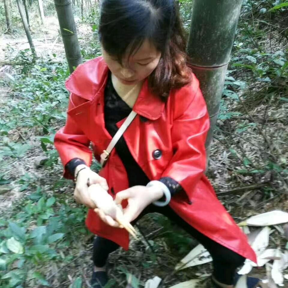 @美子