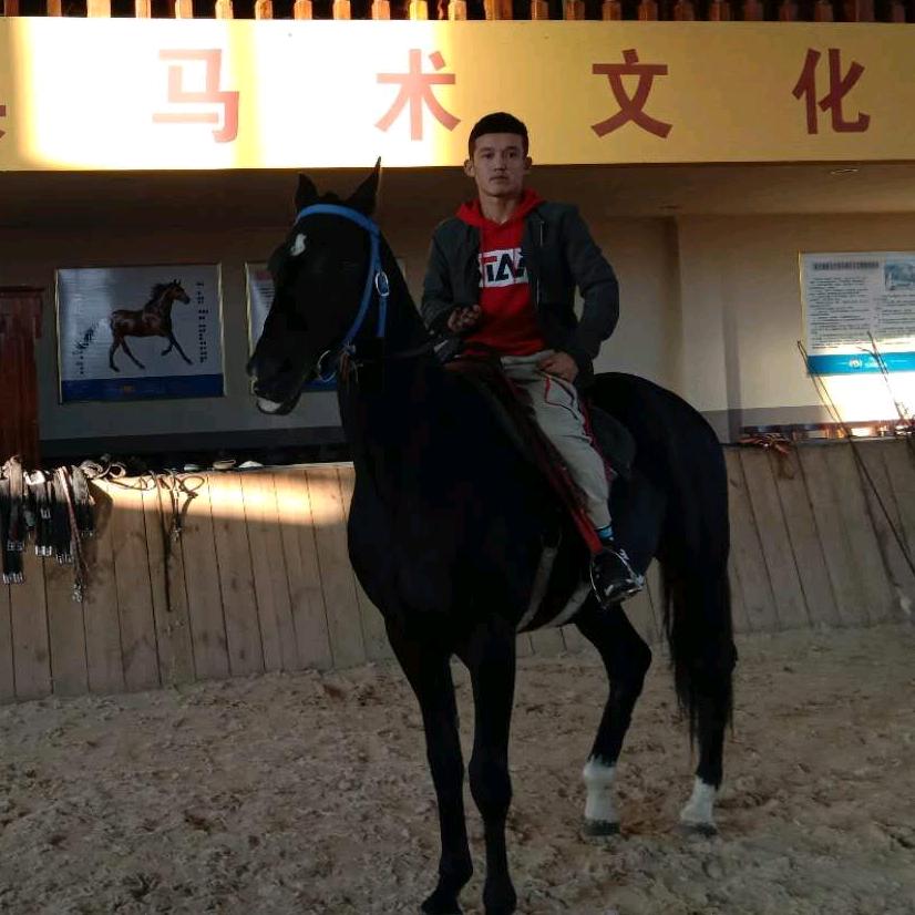 努尔波拉提