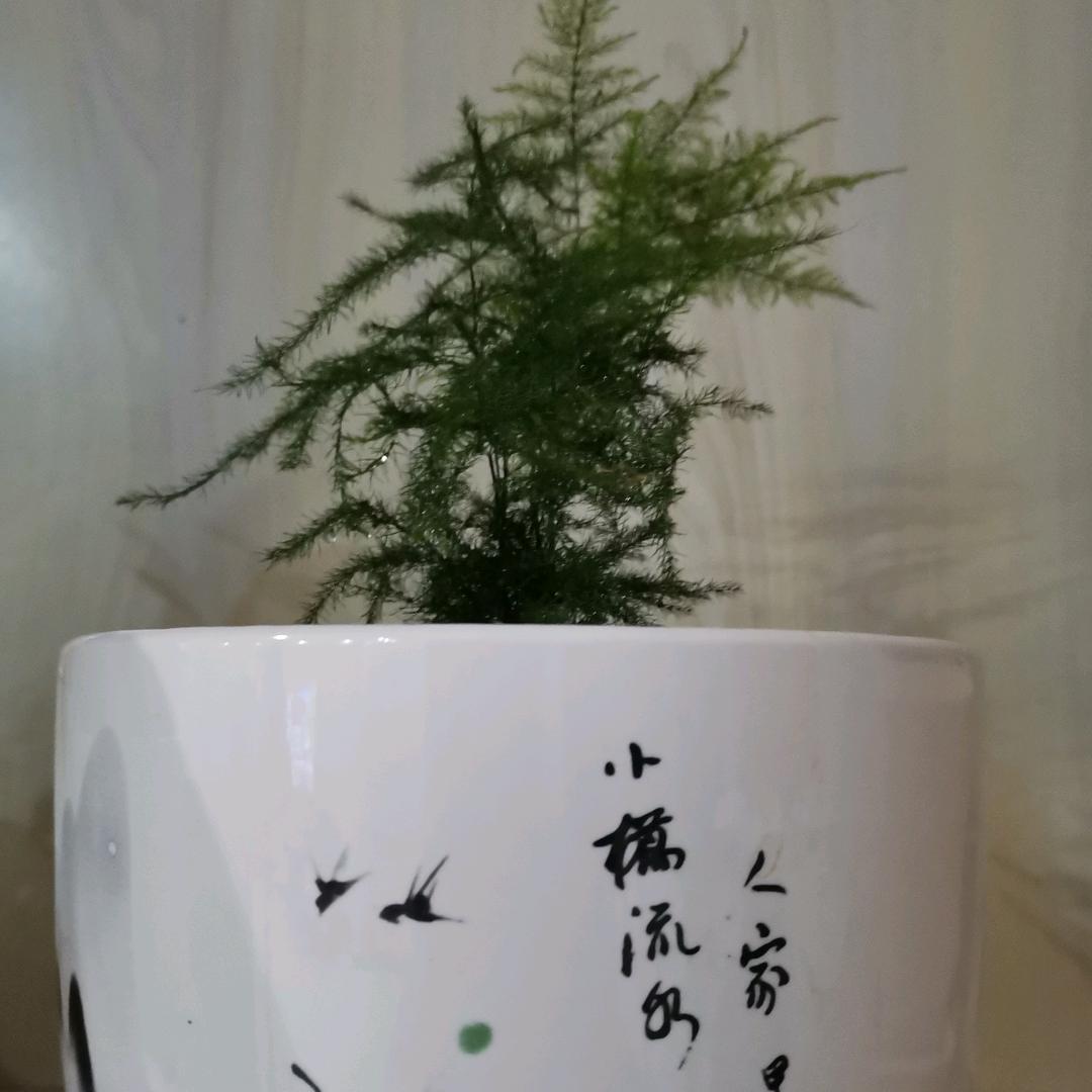 jiang