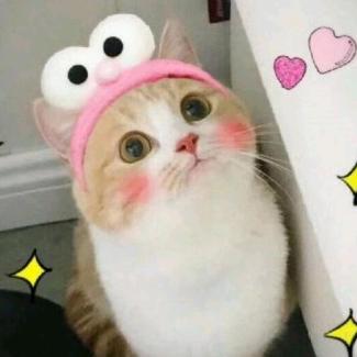 ^O^释怀^O^