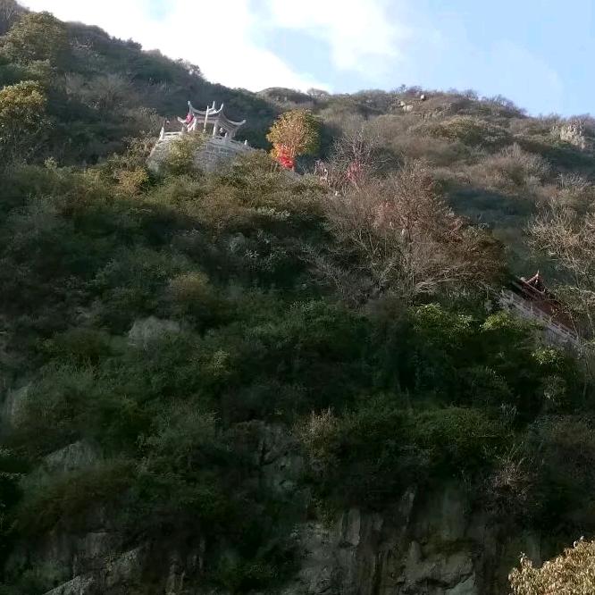 骑着毛驴看风景