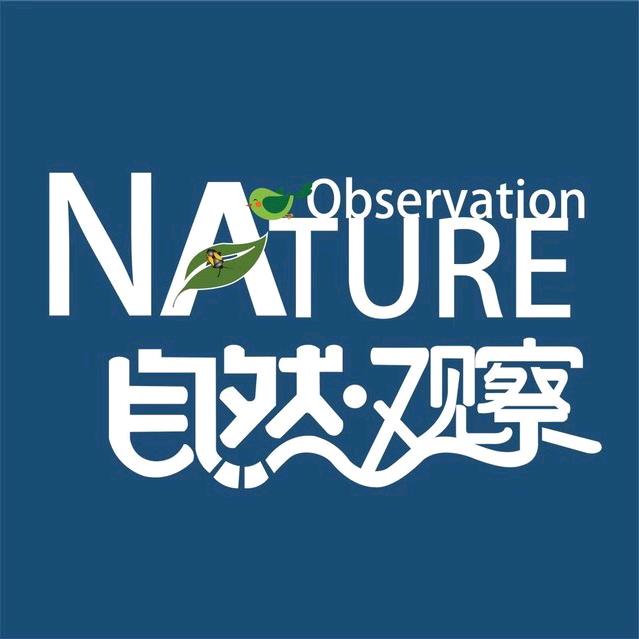 自然观察君