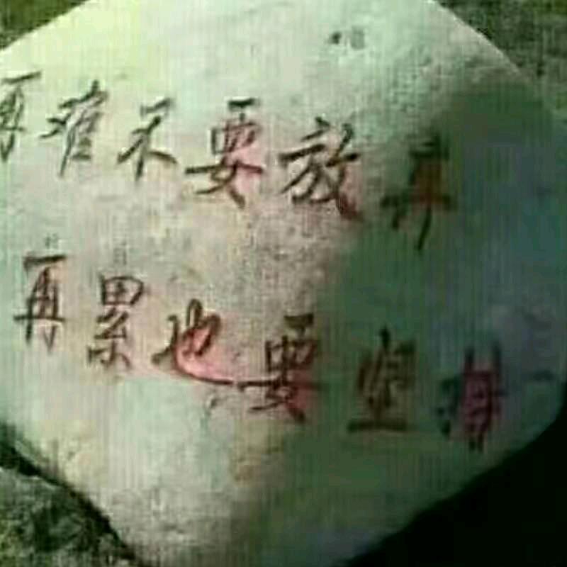 一切靠自己抱怨没有用