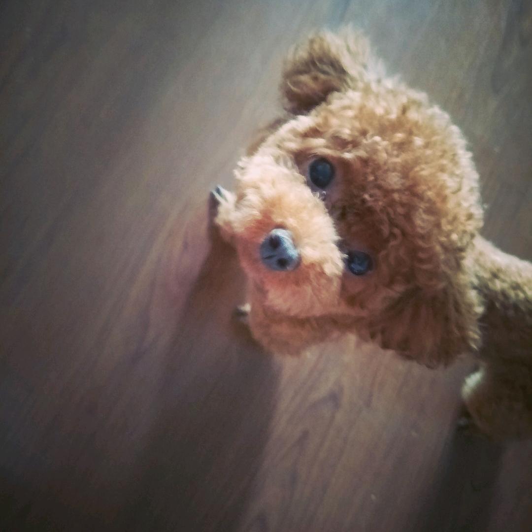 小木匠