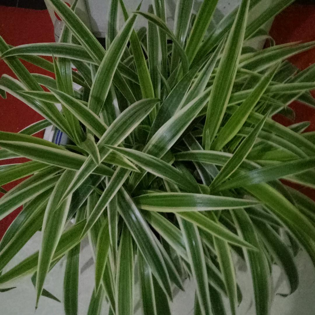 笑着说再见