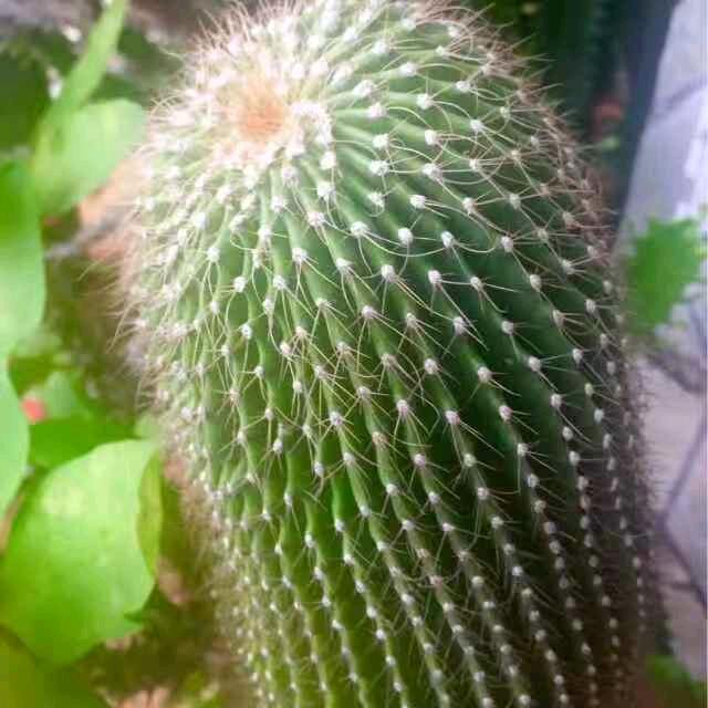 刚好遇见🌸