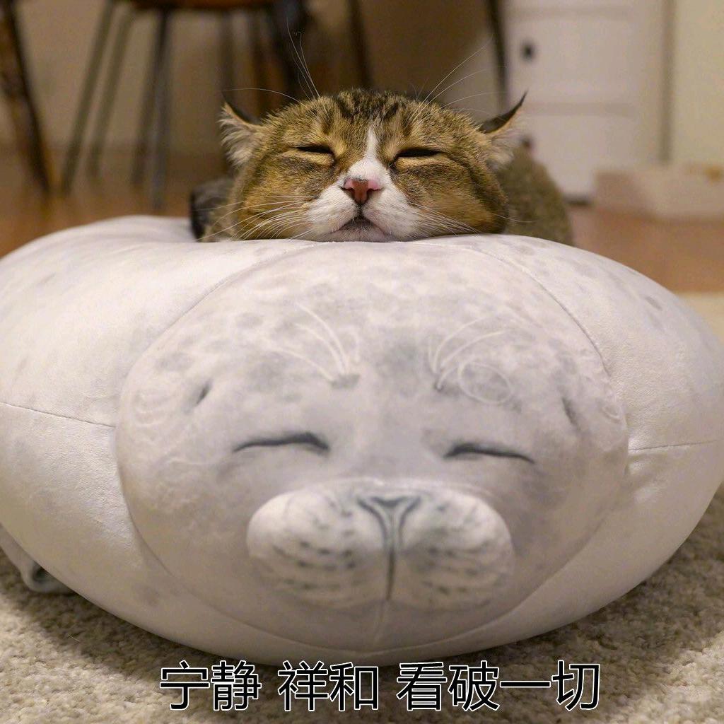 小吉儿鲸鲸鲤