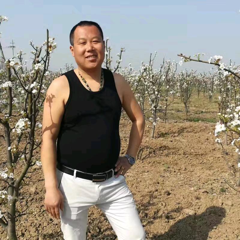 王星财