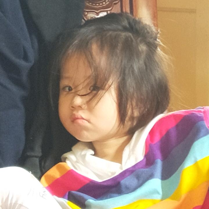 飞鱼人生
