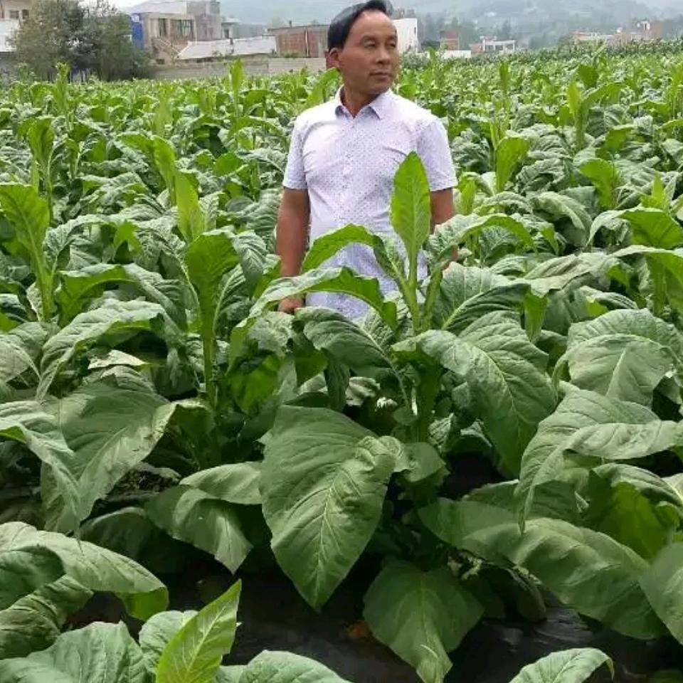 有福同享