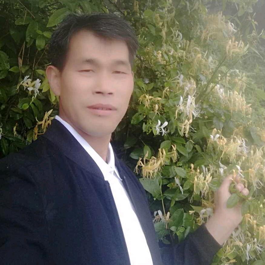 诚信专业承接仿石外墙，室内装修材料等