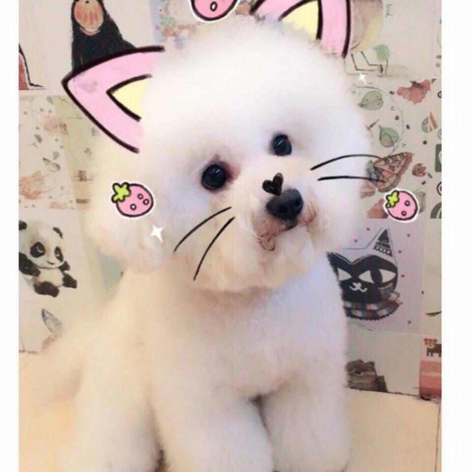귀여워요🎀