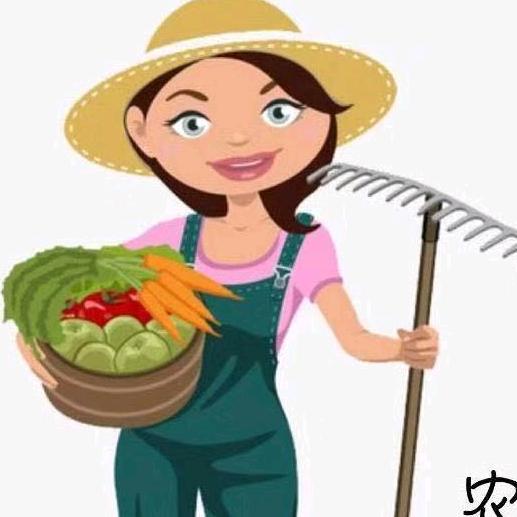 农村辣椒姐@抖音