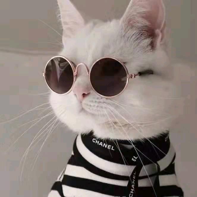 jast say.