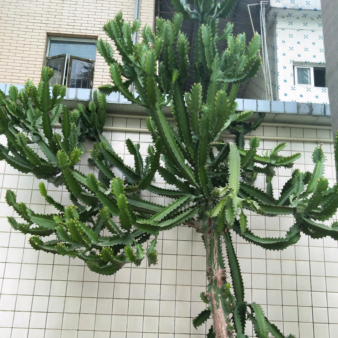 遇见是缘分 :