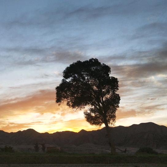 我爱吃糖！是因为心里苦！