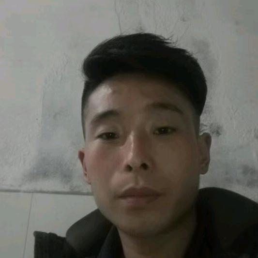 朱哥