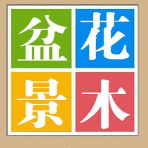 花木盆景新媒体