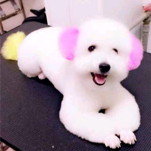 上犹源宠宠物诊疗中心