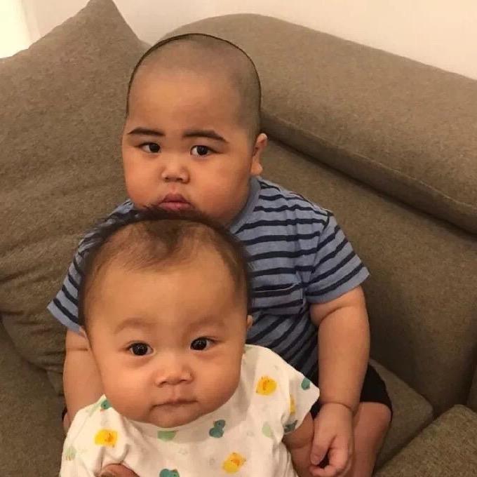 一只阿妮