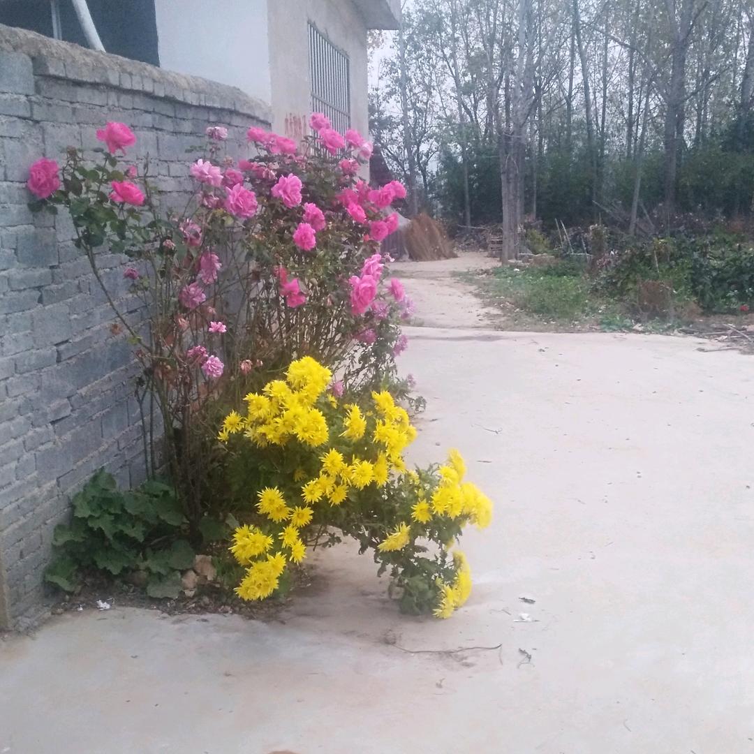 用户6619976133954舞动人生