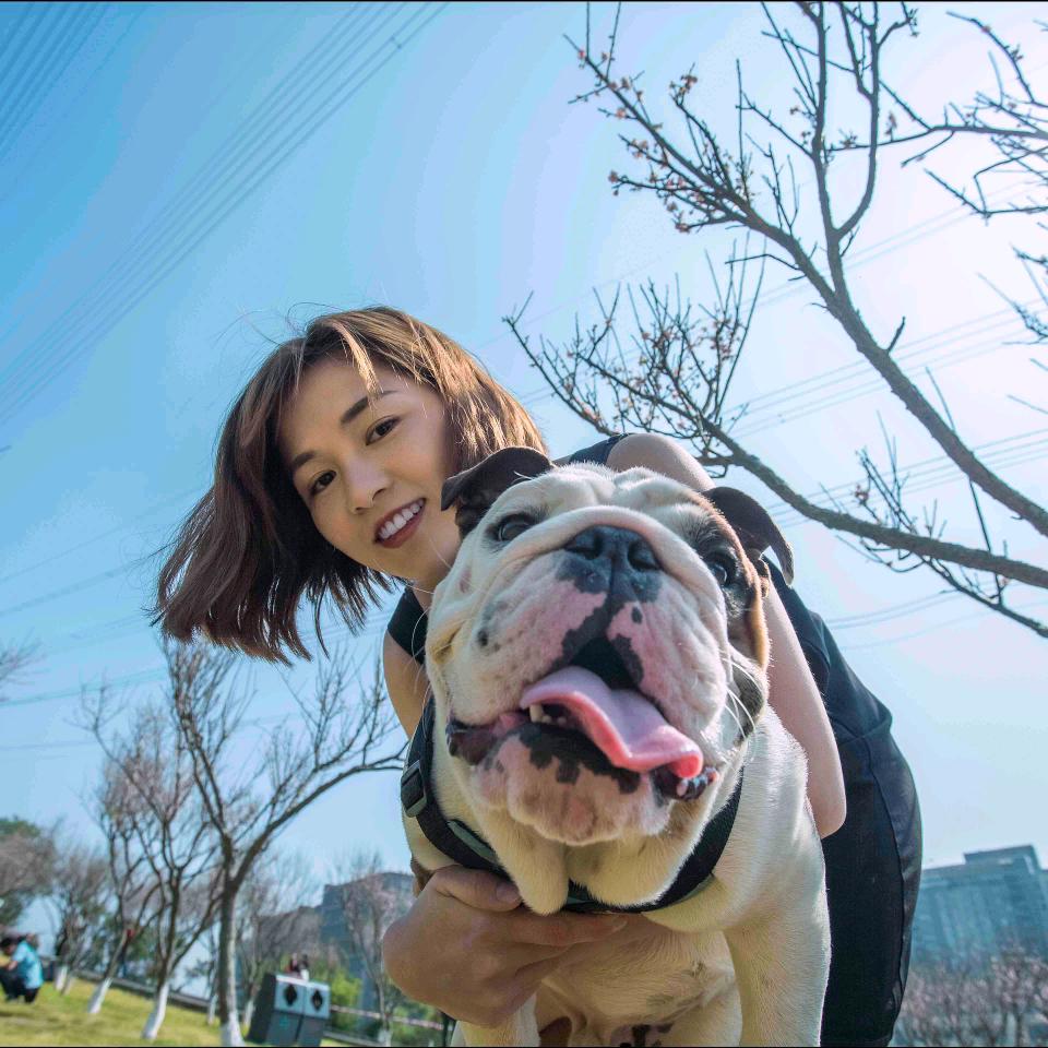 卓卓是旺财来福的麻麻