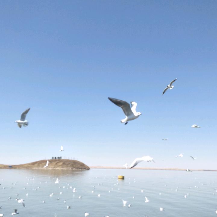 杯中烈酒*敬余生