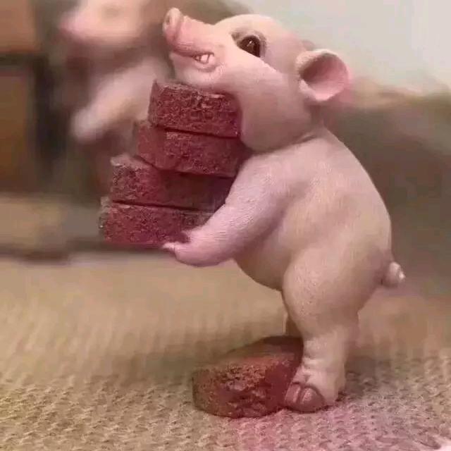 请叫我张较瘦