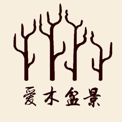 爱木盆景