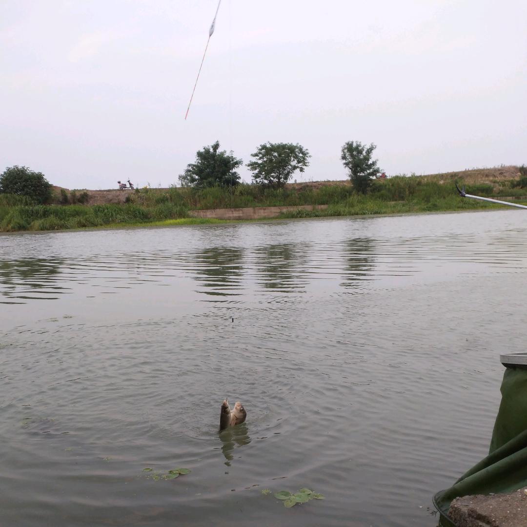 @:错了，用橡皮擦€