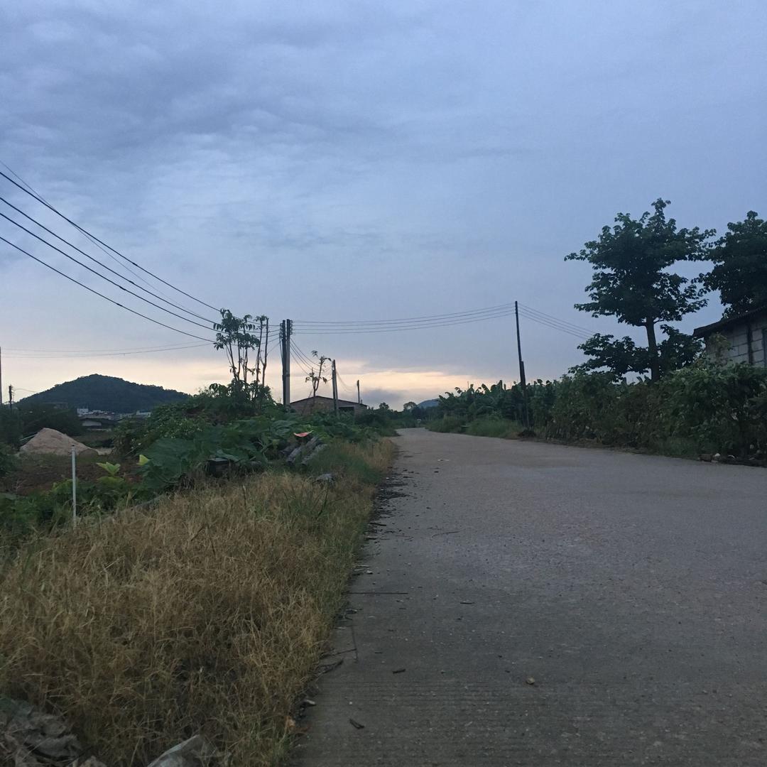 一生韦李
