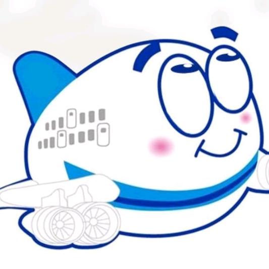 CHINA  SOUTHERN