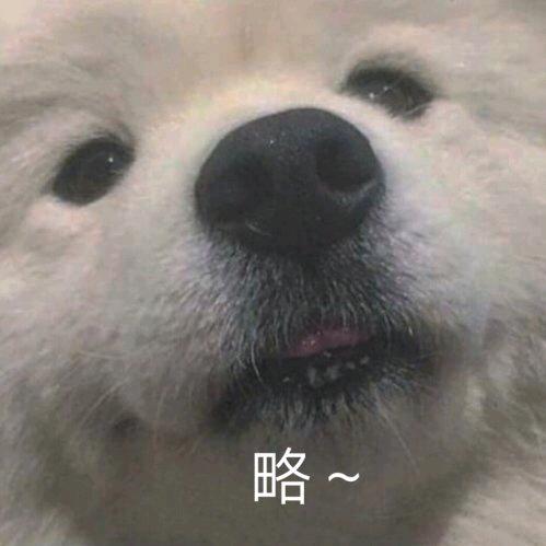 重生之我在萧山滨江租房