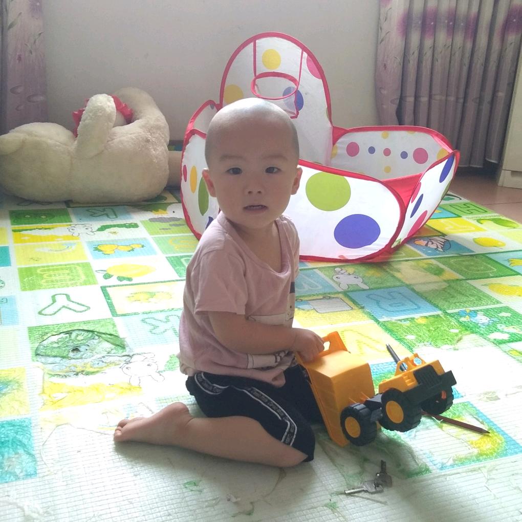 小晨晨@