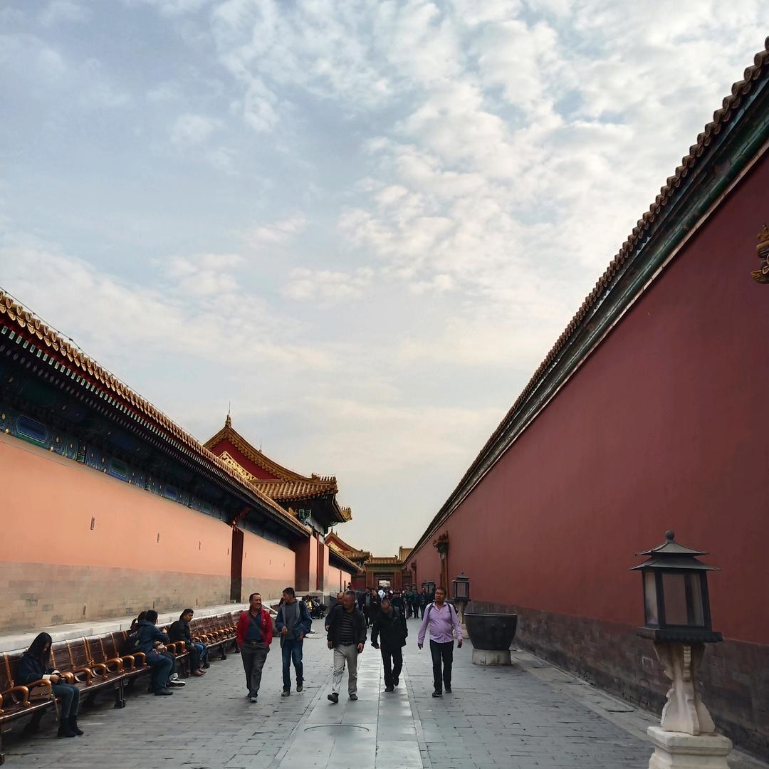 小灰灰.