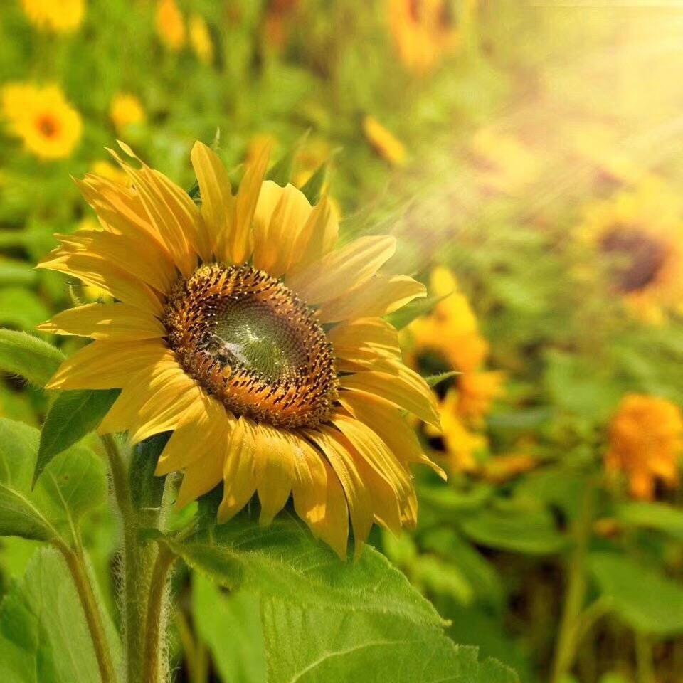 ✧(๑•̀ㅁ•́ฅ早