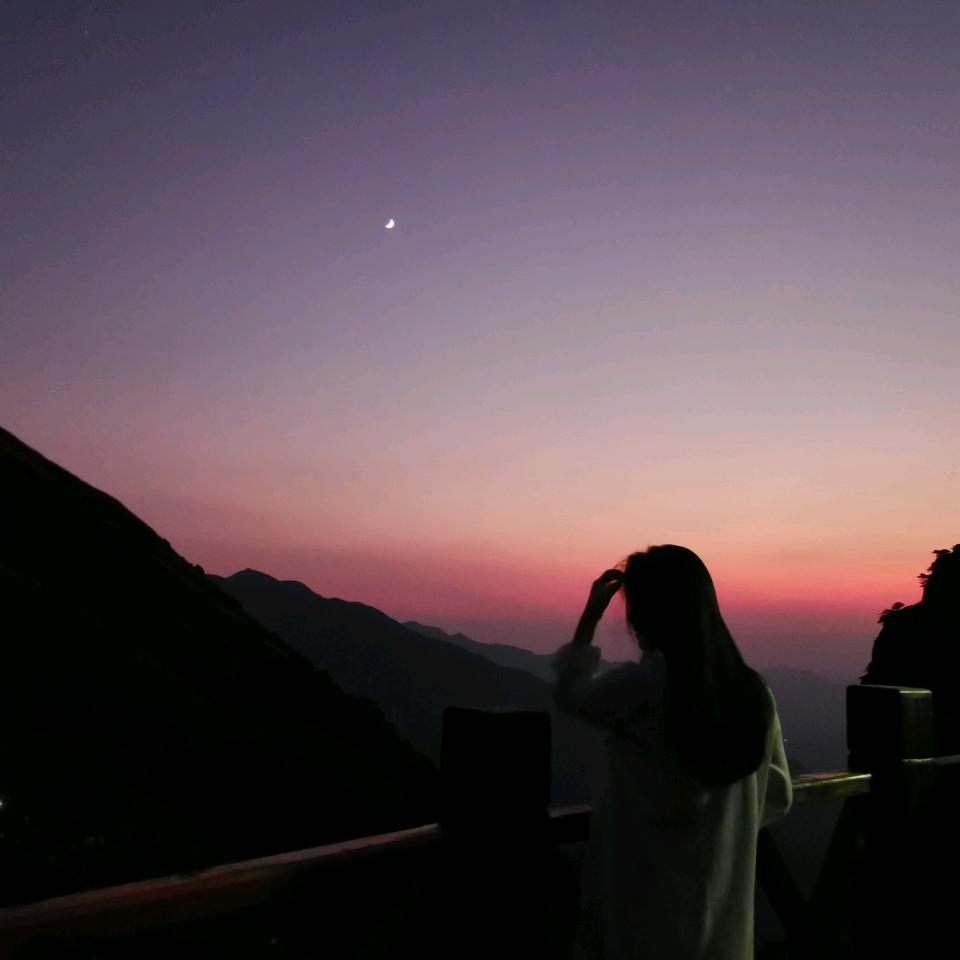 D古月