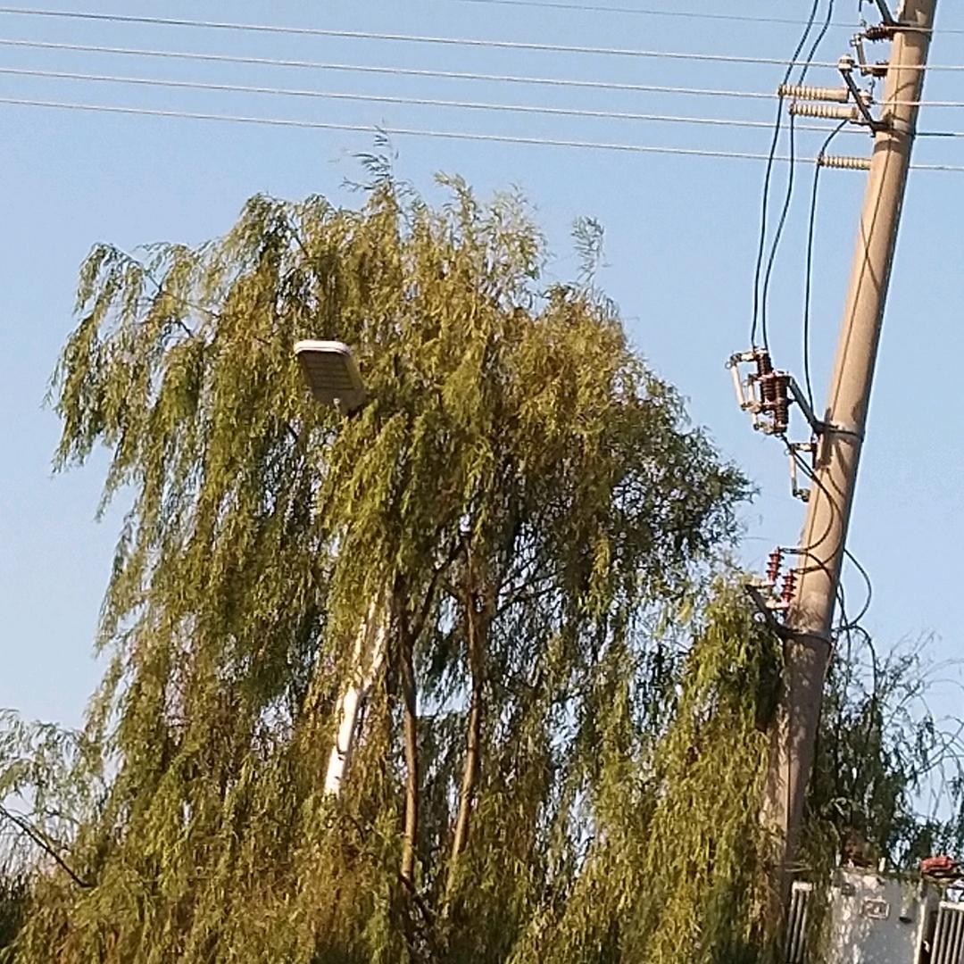 现实之尊