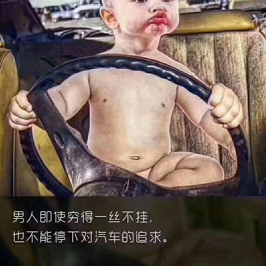 硕风和叶