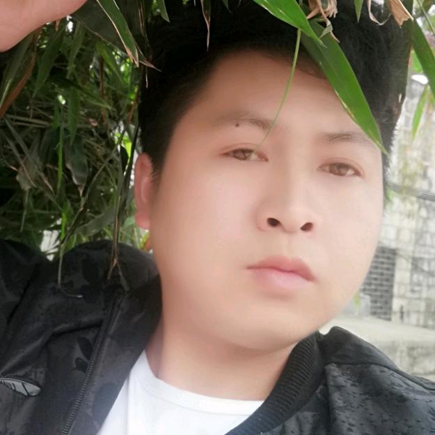 蛇年中金宝