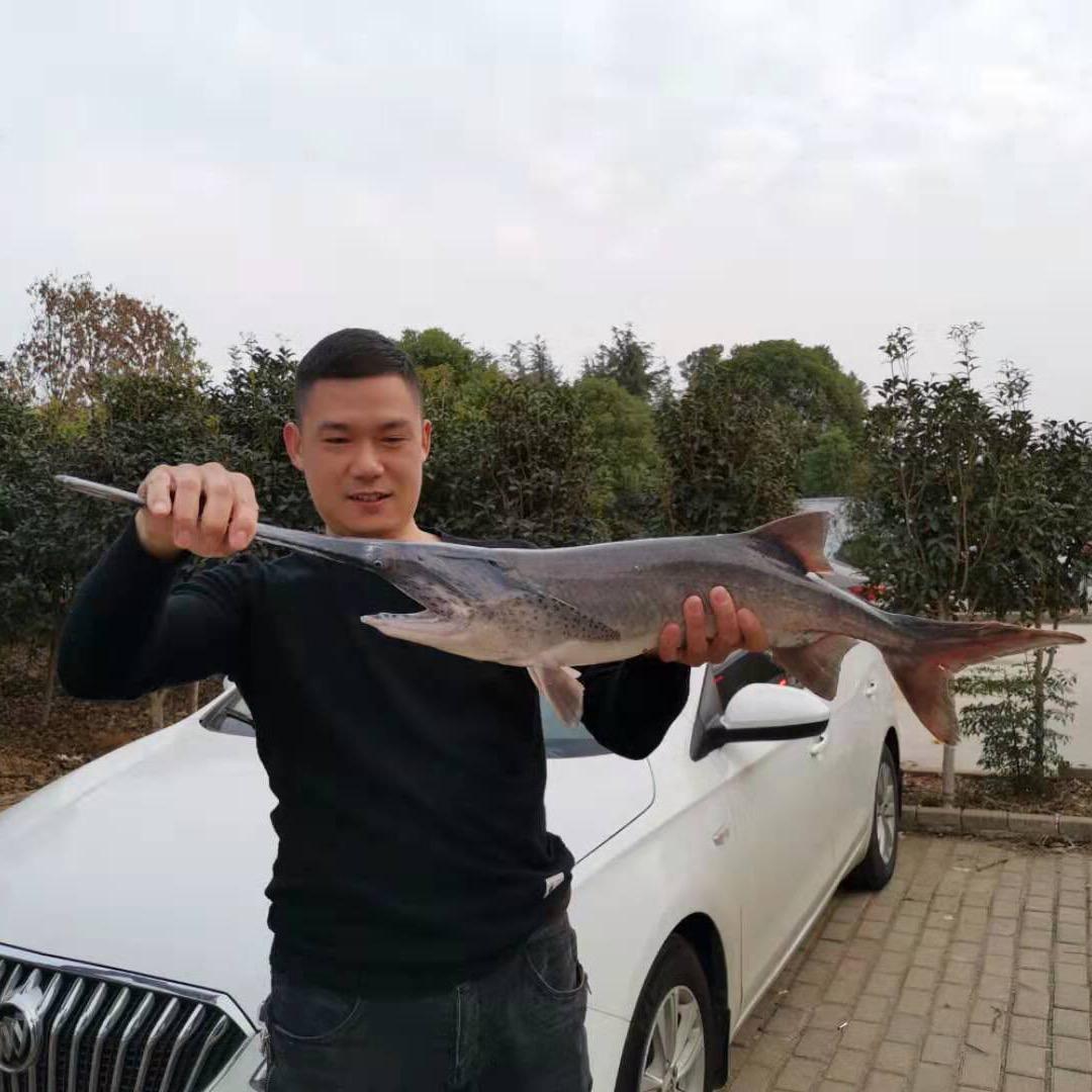 武汉旺旺渔具商行