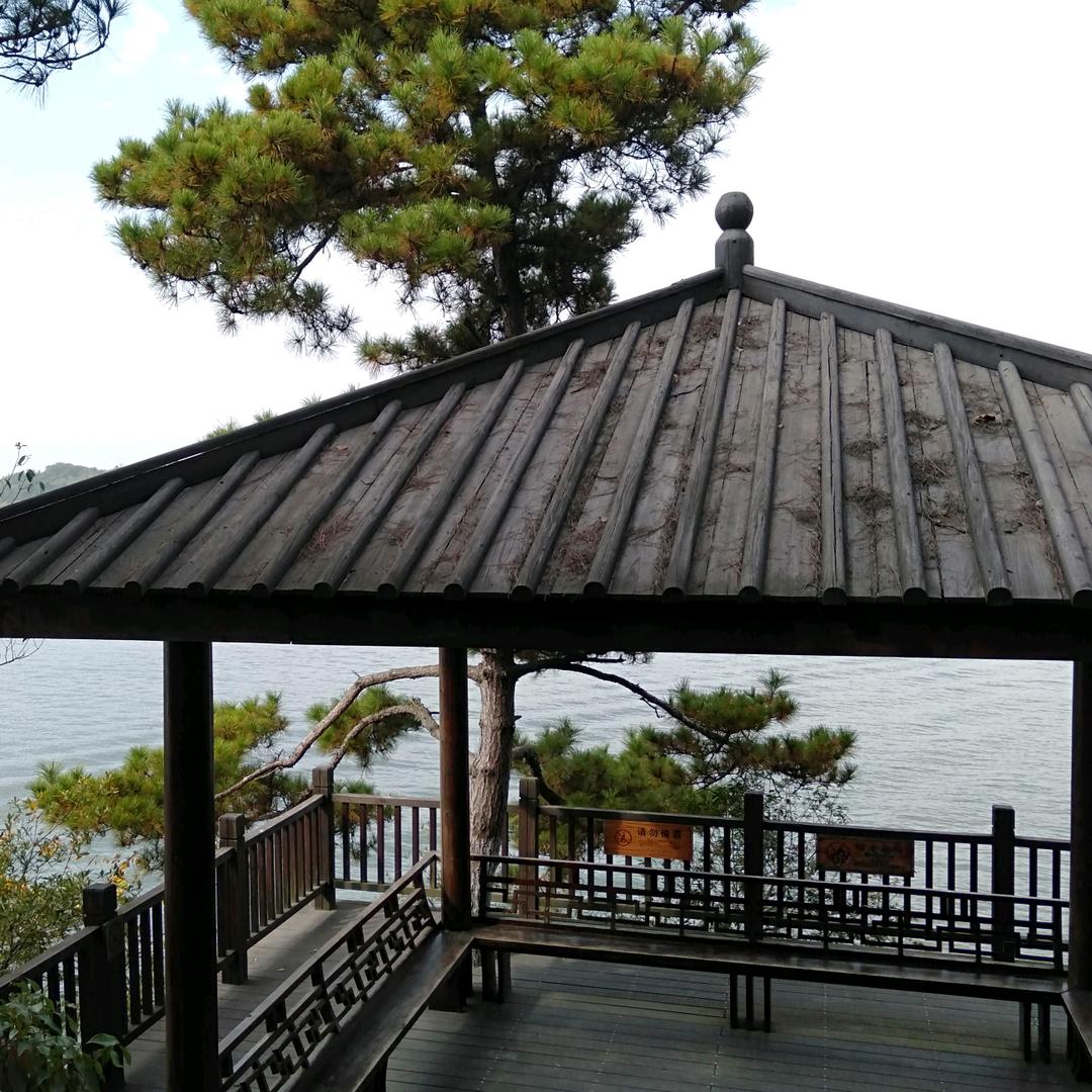 三哥