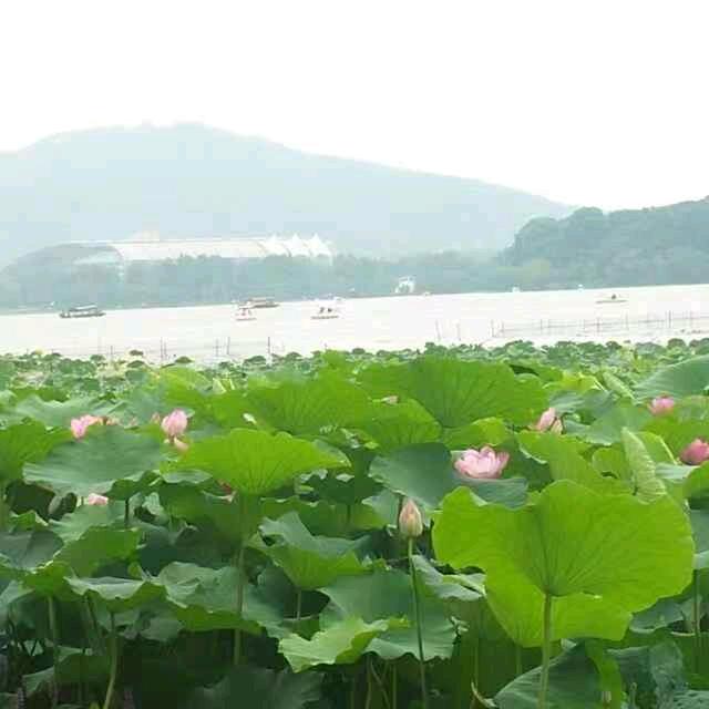 一辈子能栓住他的心