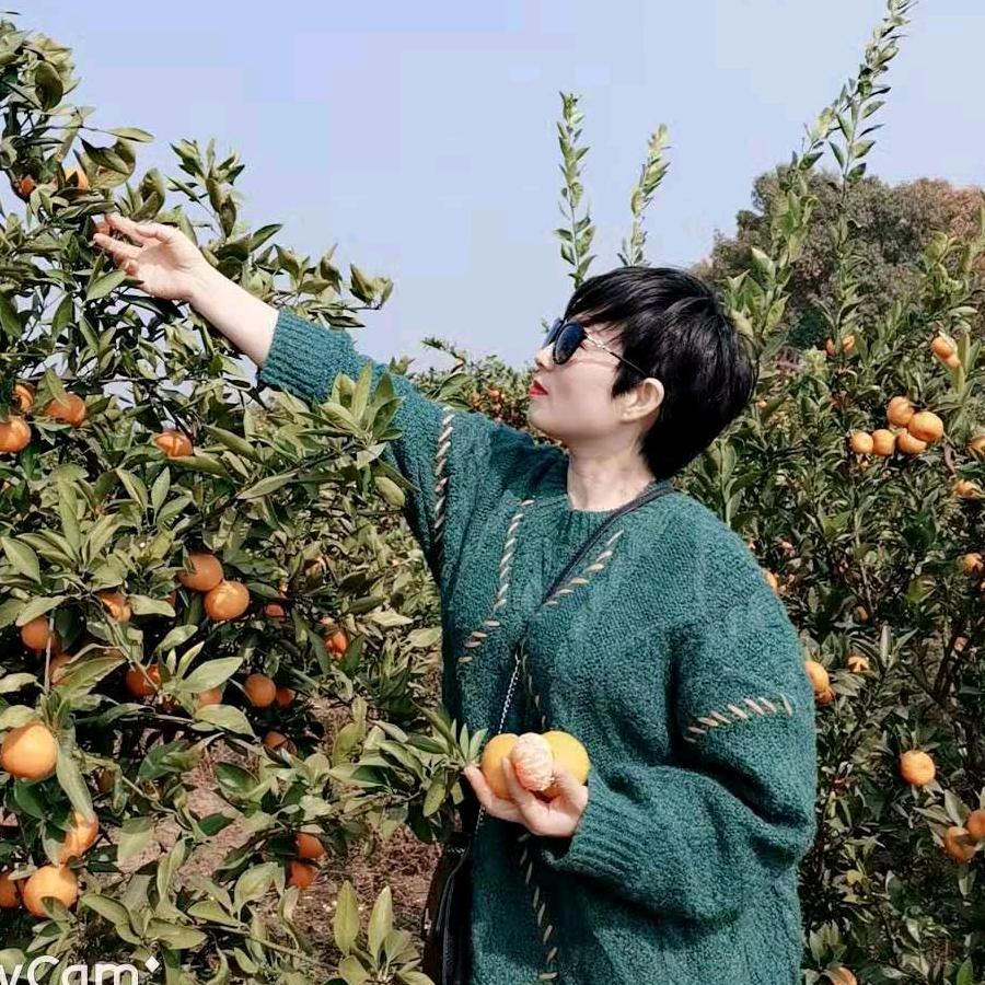 晓晓