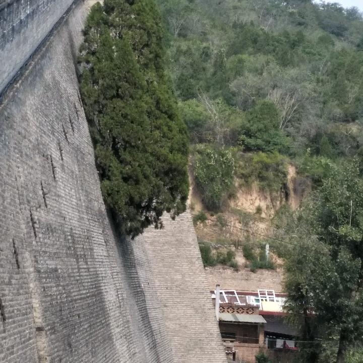 崔国臣，顺心如意，鸿运当头