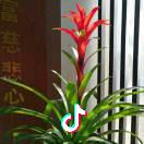 🌙月下独酌ƪ(˘⌣˘)ʃ