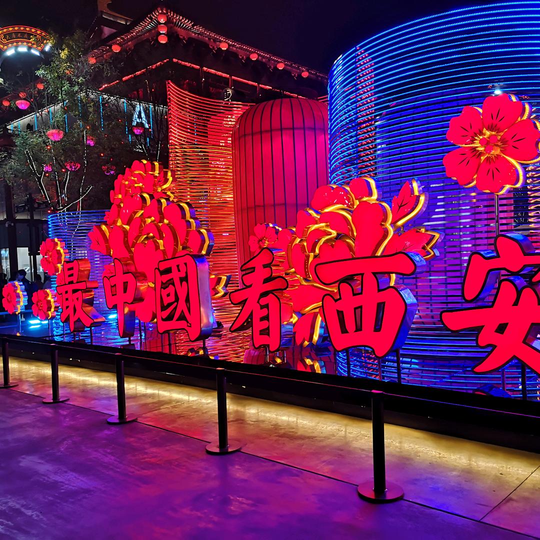桃李双收