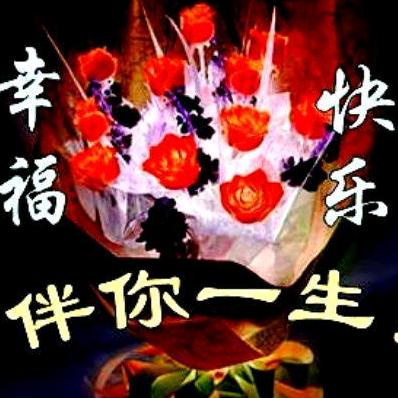 天山雪莲