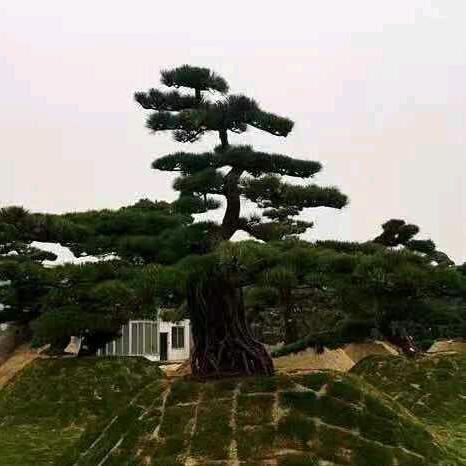 余额宝