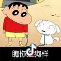 逗逗大王👑